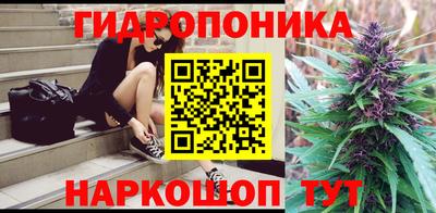 гидропоника Партизанск