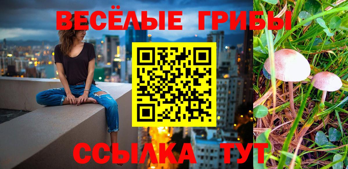 Псилоцибиновые грибы мухоморы Саянск